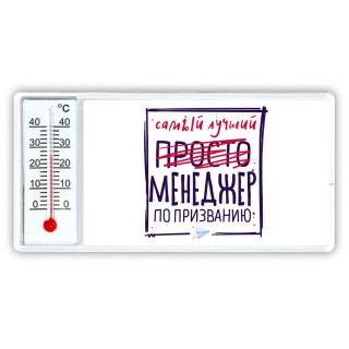 Самый лучший просто МЕНЕДЖЕР по призванию