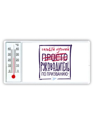 Самый лучший просто РУКОВОДИТЕЛЬ по призванию