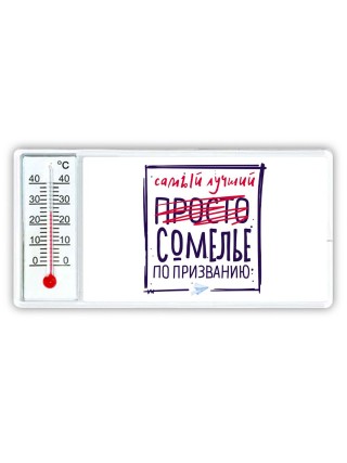 Самый лучший просто СОМЕЛЬЕ по призванию