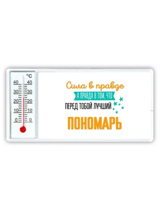 Сила в правде а правда в том, что перед тобой лучший пономарь