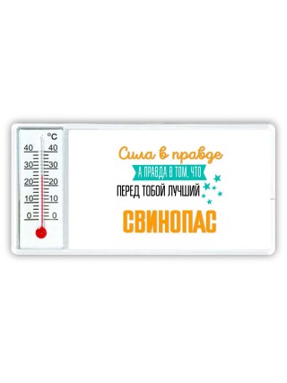 Сила в правде а правда в том, что перед тобой лучший свинопас