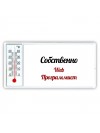 Собственно, Web Программист