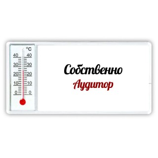 Собственно, Аудитор