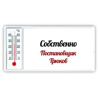 Собственно, Постановщик Трюков