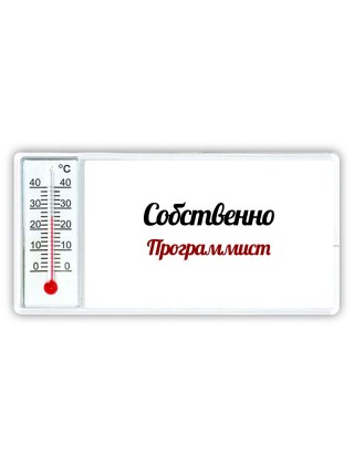 Собственно, Программист