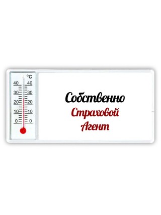 Собственно, Страховой Агент