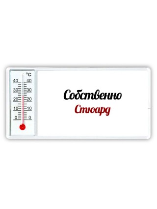 Собственно, Стюард