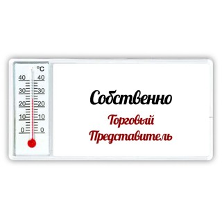 Собственно, Торговый Представитель