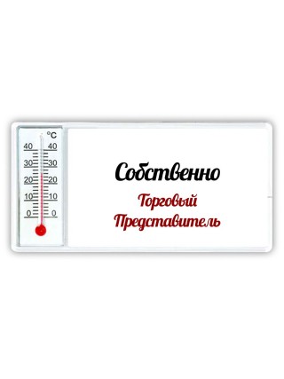 Собственно, Торговый Представитель