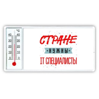 Стране нужны it специалисты