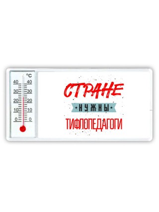 Стране нужны тифлопедагоги
