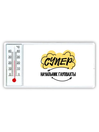 Супер Начальник Гаупвахты
