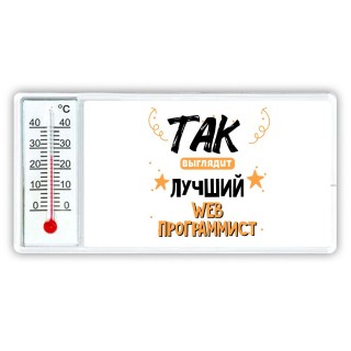 Так выглядит лучший Web Программист