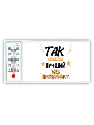 Так выглядит лучший Web Программист