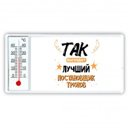 Так выглядит лучший Постановщик Трюков