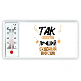 Так выглядит лучший Судебный Пристав