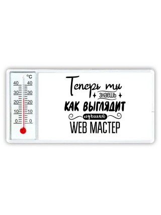 Теперь ты знаешь как выглядит лучший web мастер