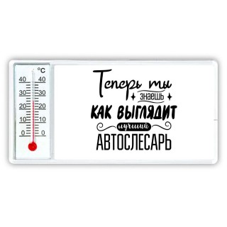 Теперь ты знаешь как выглядит лучший автослесарь