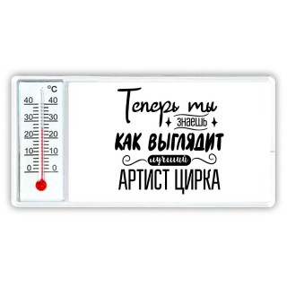 Теперь ты знаешь как выглядит лучший артист цирка