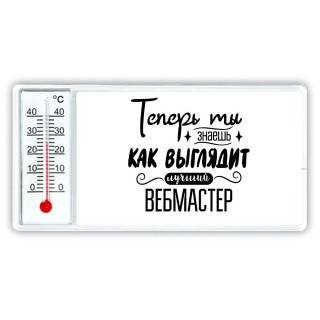 Теперь ты знаешь как выглядит лучший вебмастер