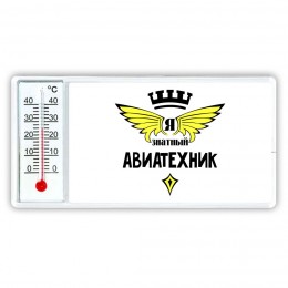 Я знатный авиатехник