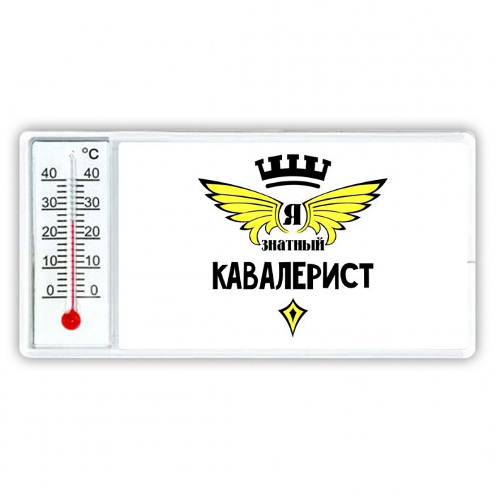 Я знатный кавалерист