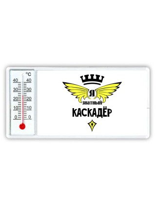 Я знатный каскадёр
