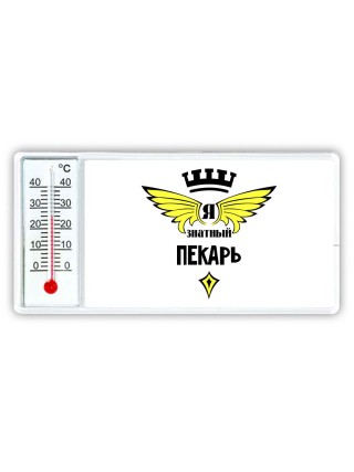 Я знатный пекарь