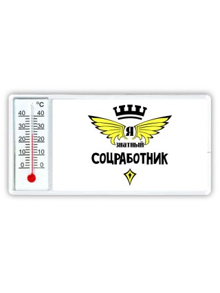 Я знатный соцработник