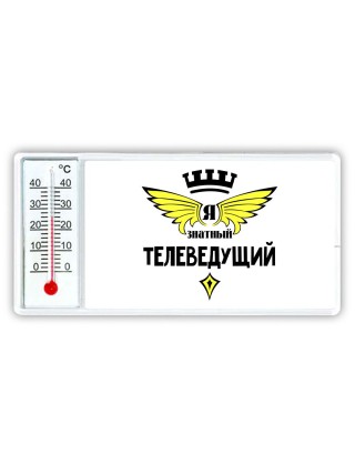 Я знатный телеведущий