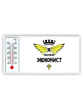 Я знатный экономист