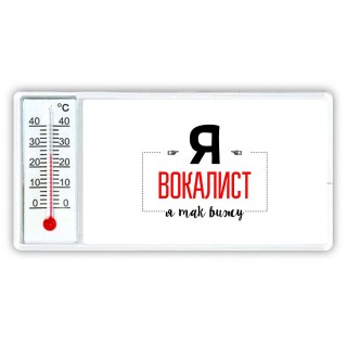 Я вокалист я так вижу