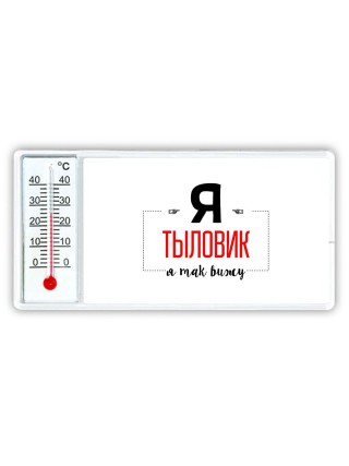 Я тыловик я так вижу