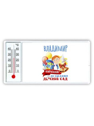 Владимир выпускник до свидания детский сад