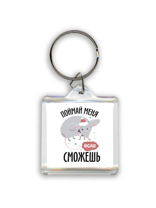 поймай меня если сможешь