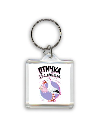 птичка залетела