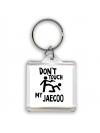 Don't touch my Jaecoo