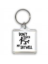 Don't touch my Skywell