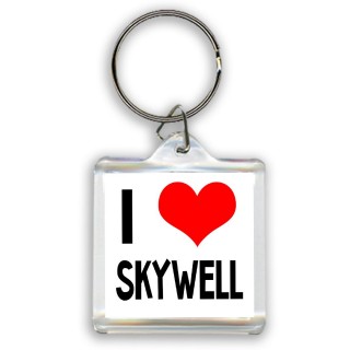 I love Skywell