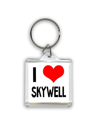 I love Skywell