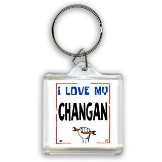 I love my Changan