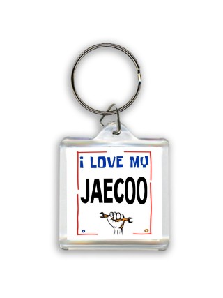 I love my Jaecoo