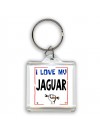 I love my Jaguar