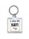 I love my Kaiyi