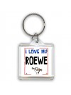 I love my Roewe