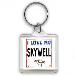 I love my Skywell