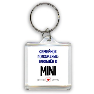 семейной пололжение - влюблен в Mini