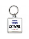 семейной пололжение - влюблен в Skywell