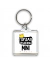 Гордая владелица Mini