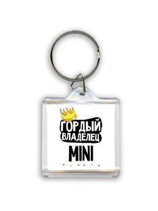 Гордый владелец Mini